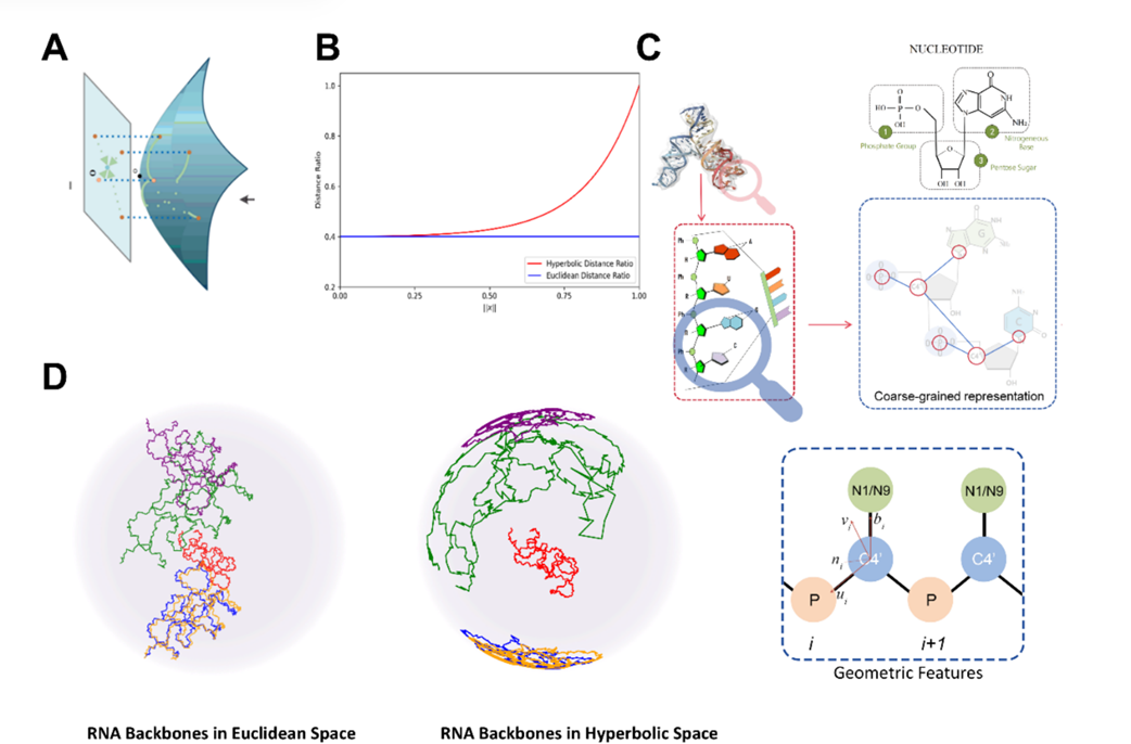 image-20250923222419058