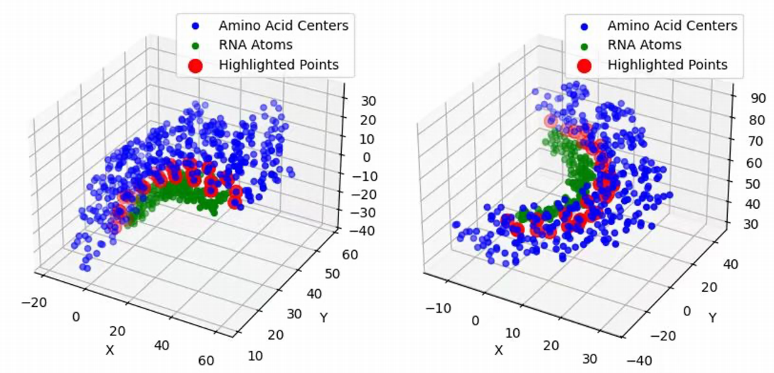 image-20250924004136830